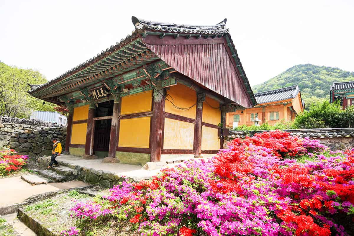 여수 흥국사 봄 여수 흥국사 봄