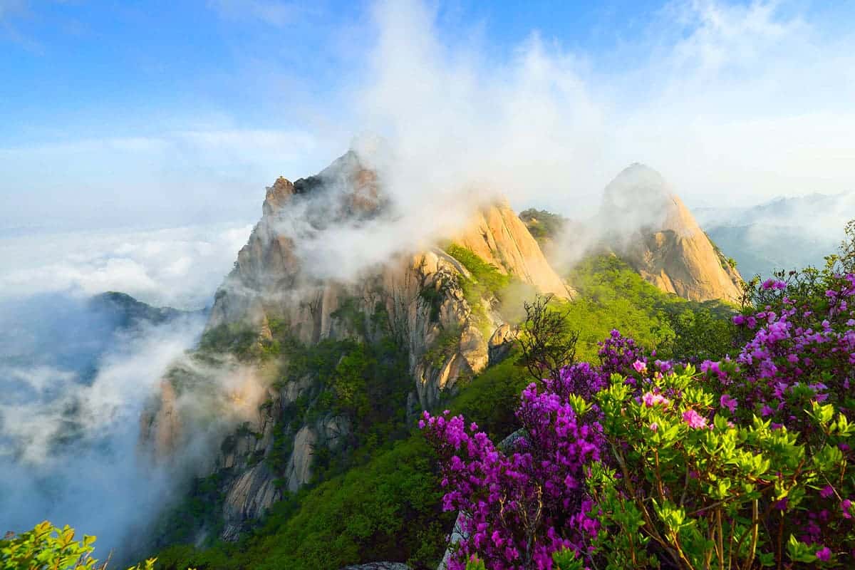 북한산의 봄 북한산의 봄