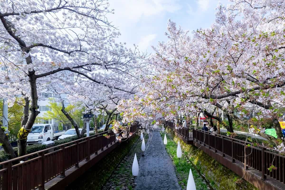 여좌천 로망스다리 여좌천 로망스다리
