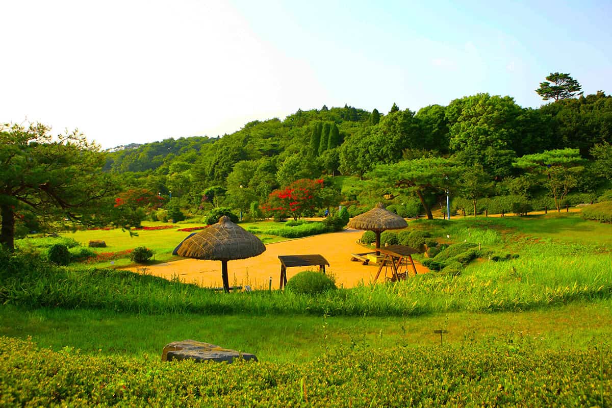 자연휴양림 산책로 자연휴양림 산책로