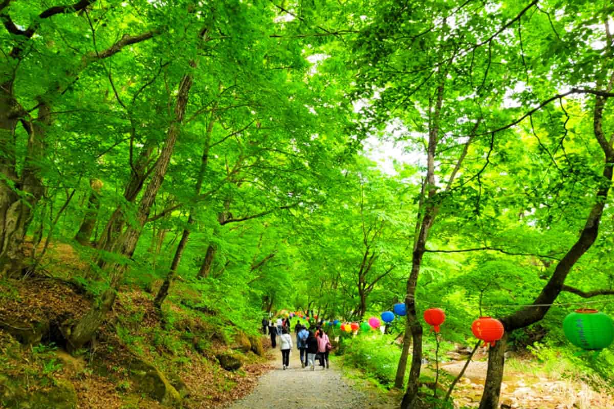 문경 봉암사 산책 문경 봉암사 산책