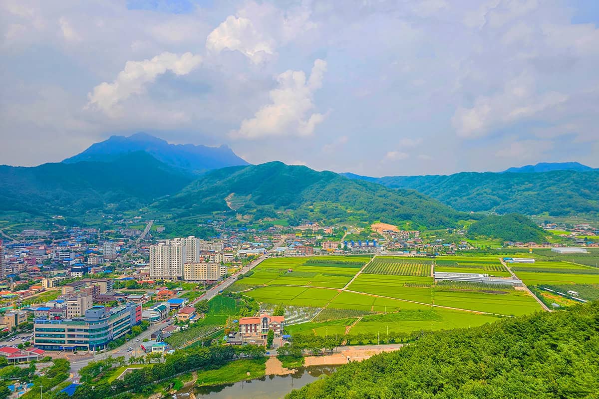 봉명산 출렁다리 전경 봉명산 출렁다리 전경