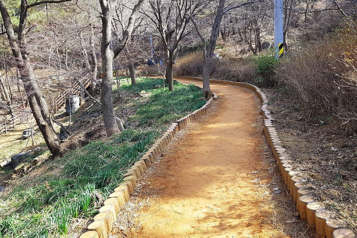 보령 옥마산 산책길 보령 옥마산 산책길