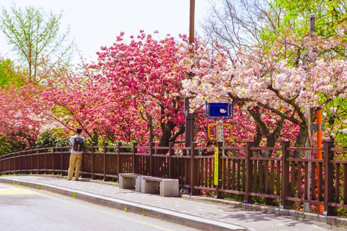 부산 민주공원 부산 민주공원