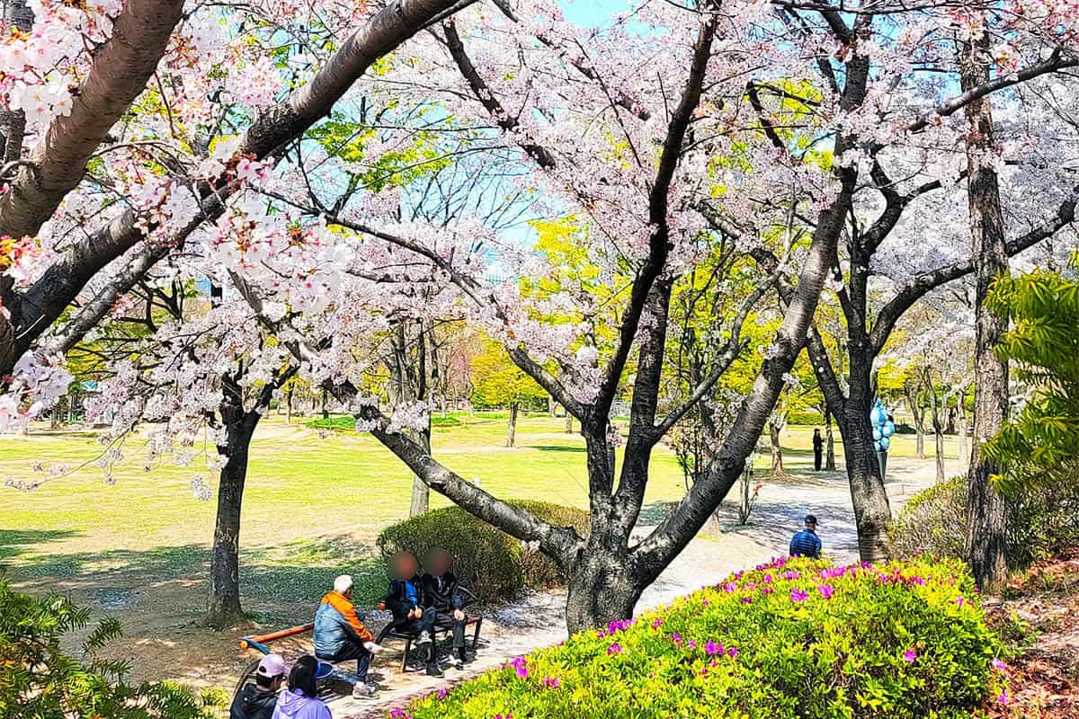 부산 평화공원 봄 부산 평화공원 봄