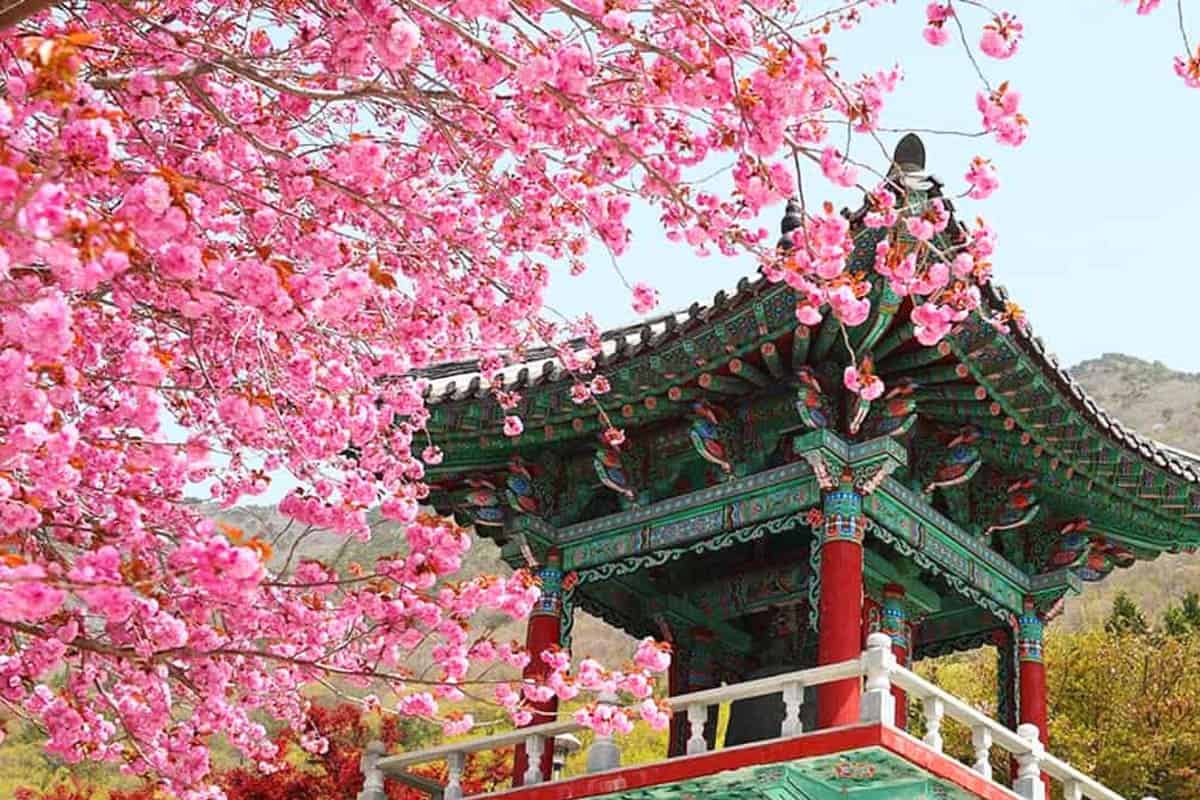 사천 청룡사 사천 청룡사