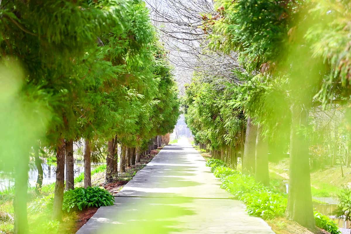 태안 청산수목원