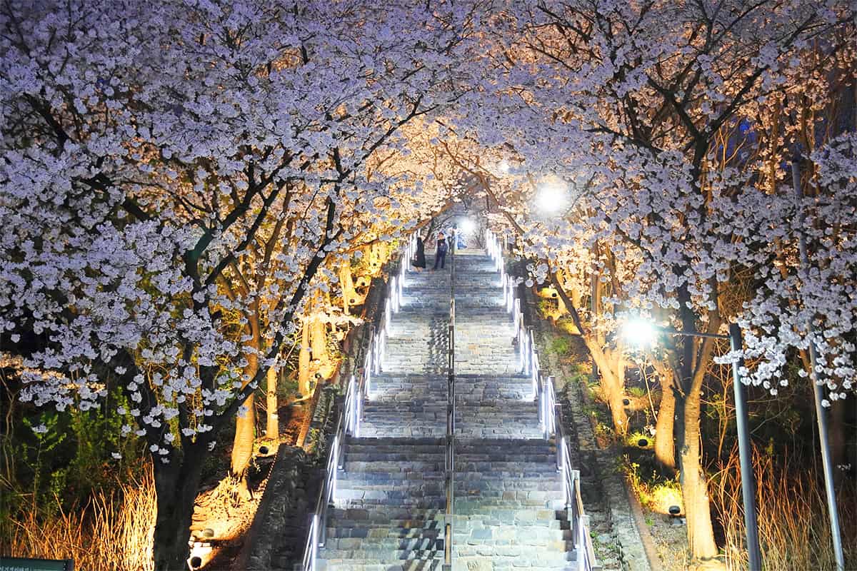 대구 침산공원 야경 대구 침산공원 야경