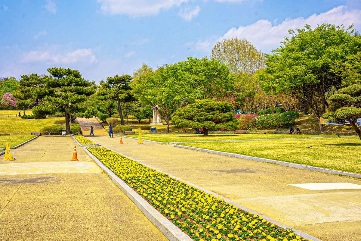 대구 달성공원 대구 달성공원