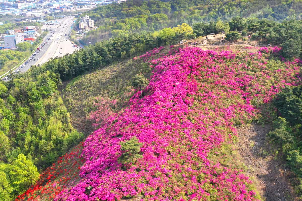 대구 와룡산 풍경 대구 와룡산 풍경