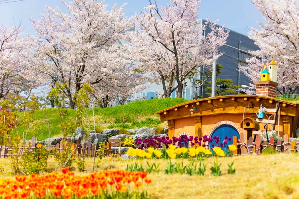 대구 세천늪테마공원 풍경 대구 세천늪테마공원 풍경