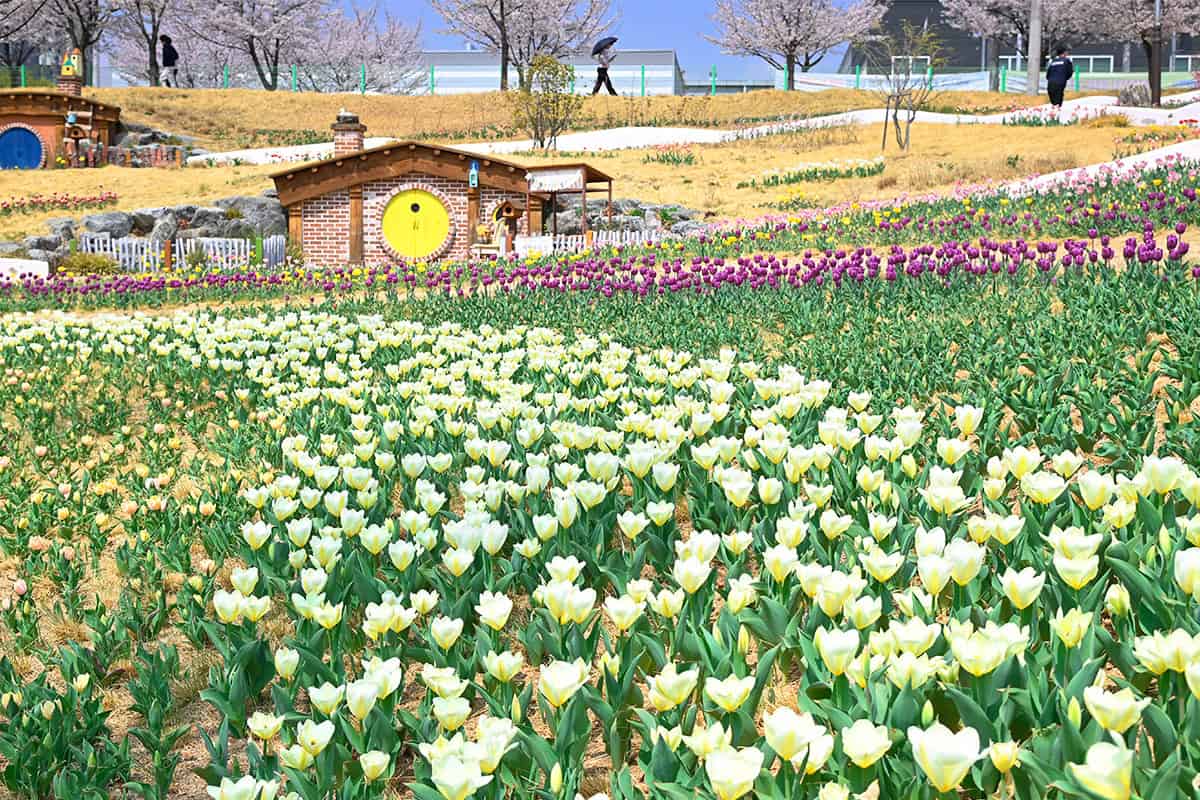 대구 달성군 세천늪테마공원 대구 달성군 세천늪테마공원