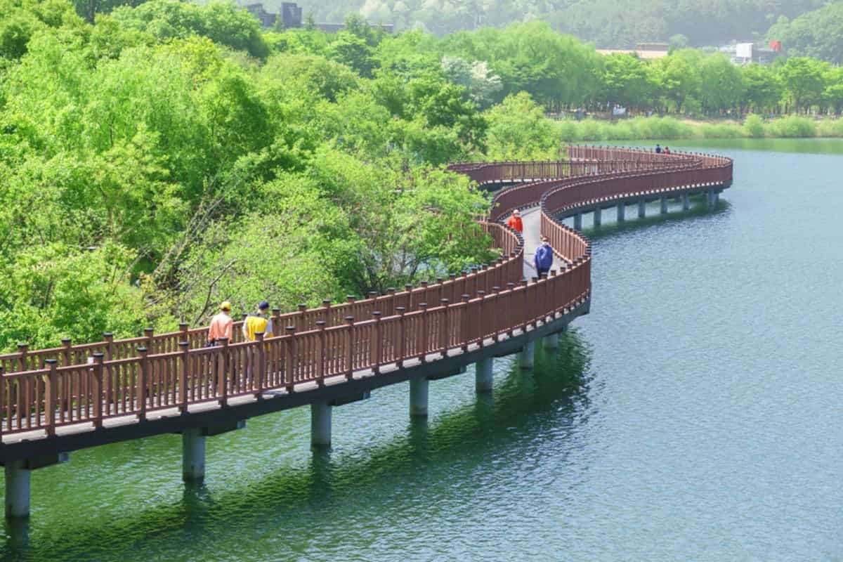 대구 월광수변공원 대구 월광수변공원