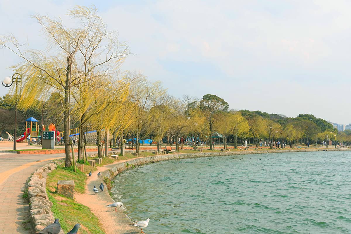 오호리공원 오호리공원