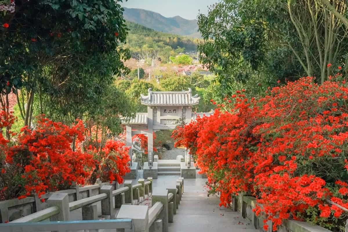 강진 남미륵사 꽃사찰