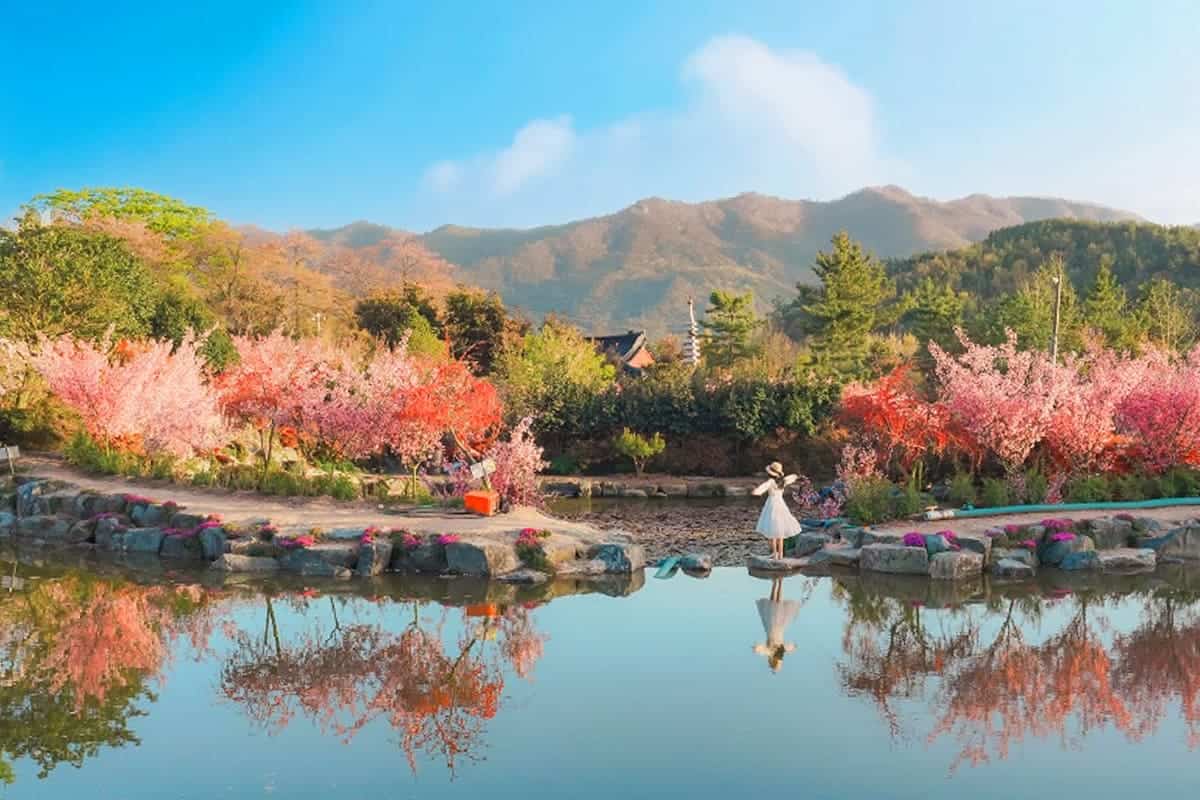 강진 남미륵사 꽃사찰 풍경