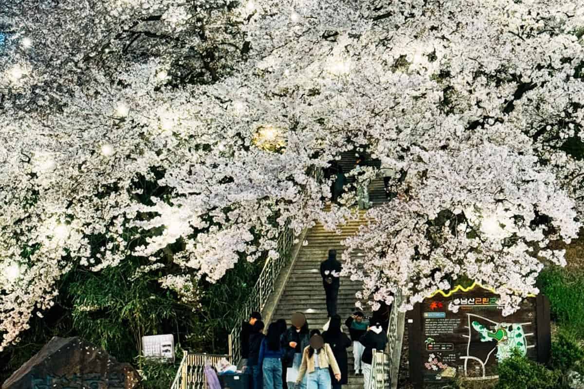 강릉 남산공원 강릉 남산공원