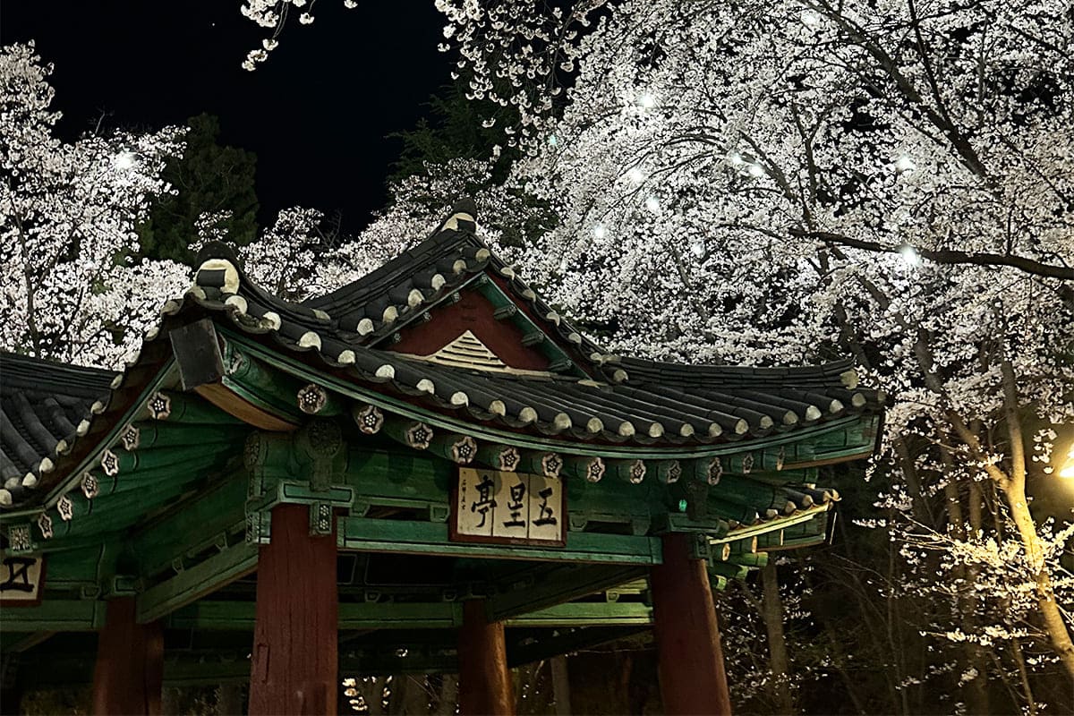 강릉 남산공원 야경 강릉 남산공원 야경