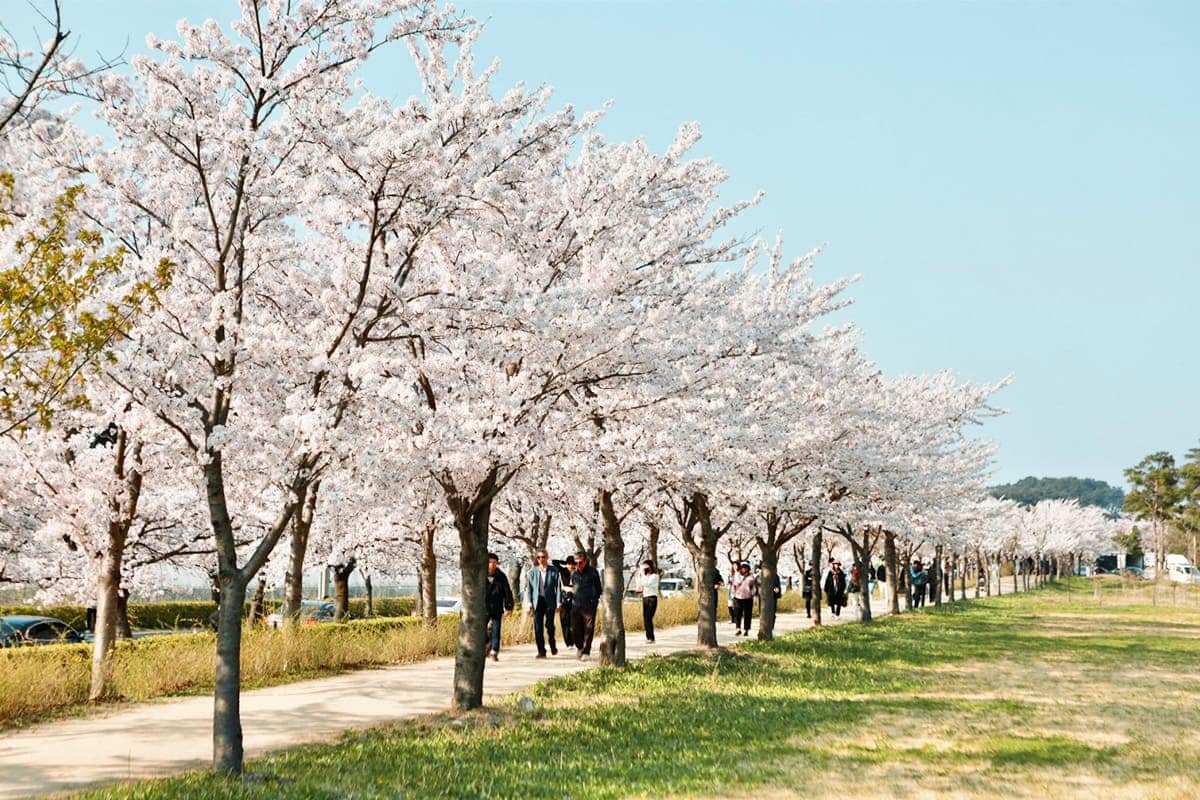 강릉 경포호 강릉 경포호