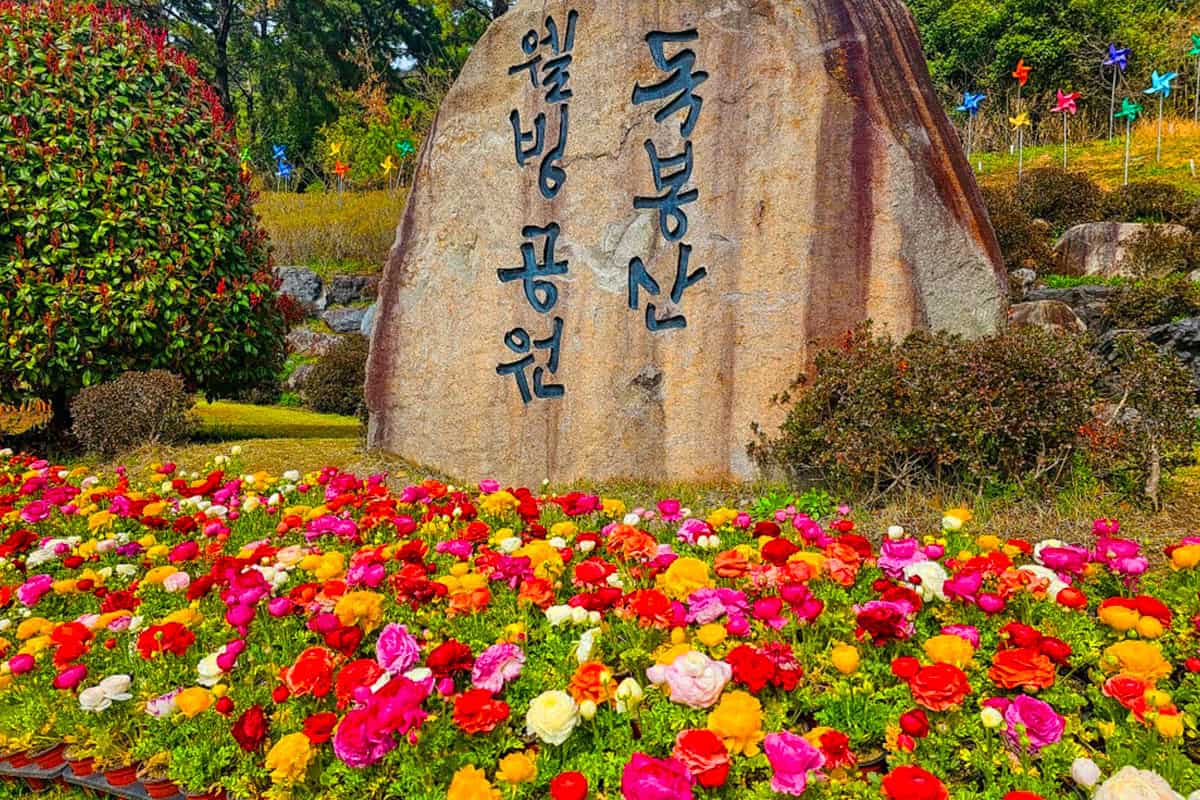 독봉산웰빙공원 독봉산웰빙공원