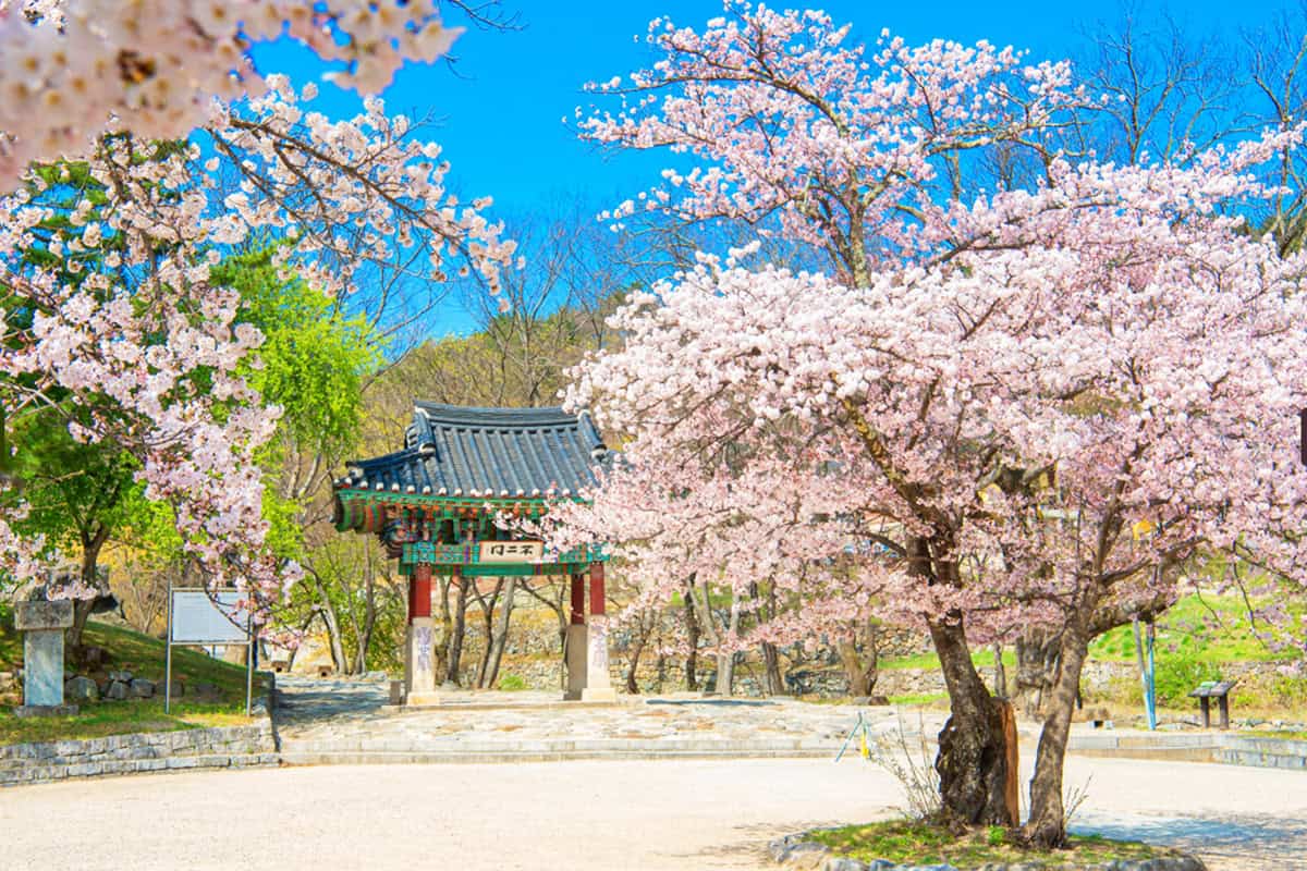 고성 금강산 건봉사 고성 금강산 건봉사