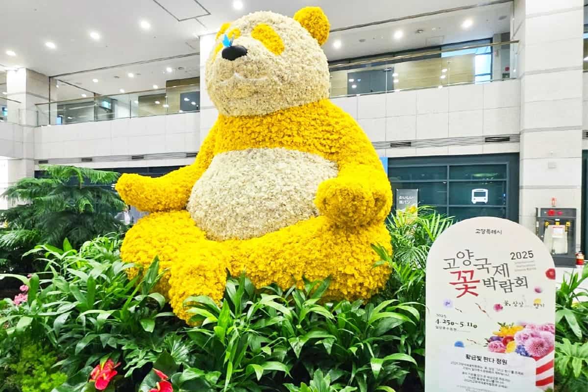 2025 고양국제꽃박람회 캐릭터 2025 고양국제꽃박람회 캐릭터