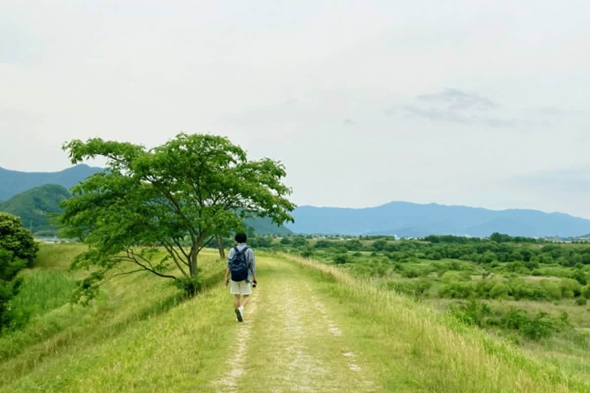 백운산 둘레길 백운산 둘레길