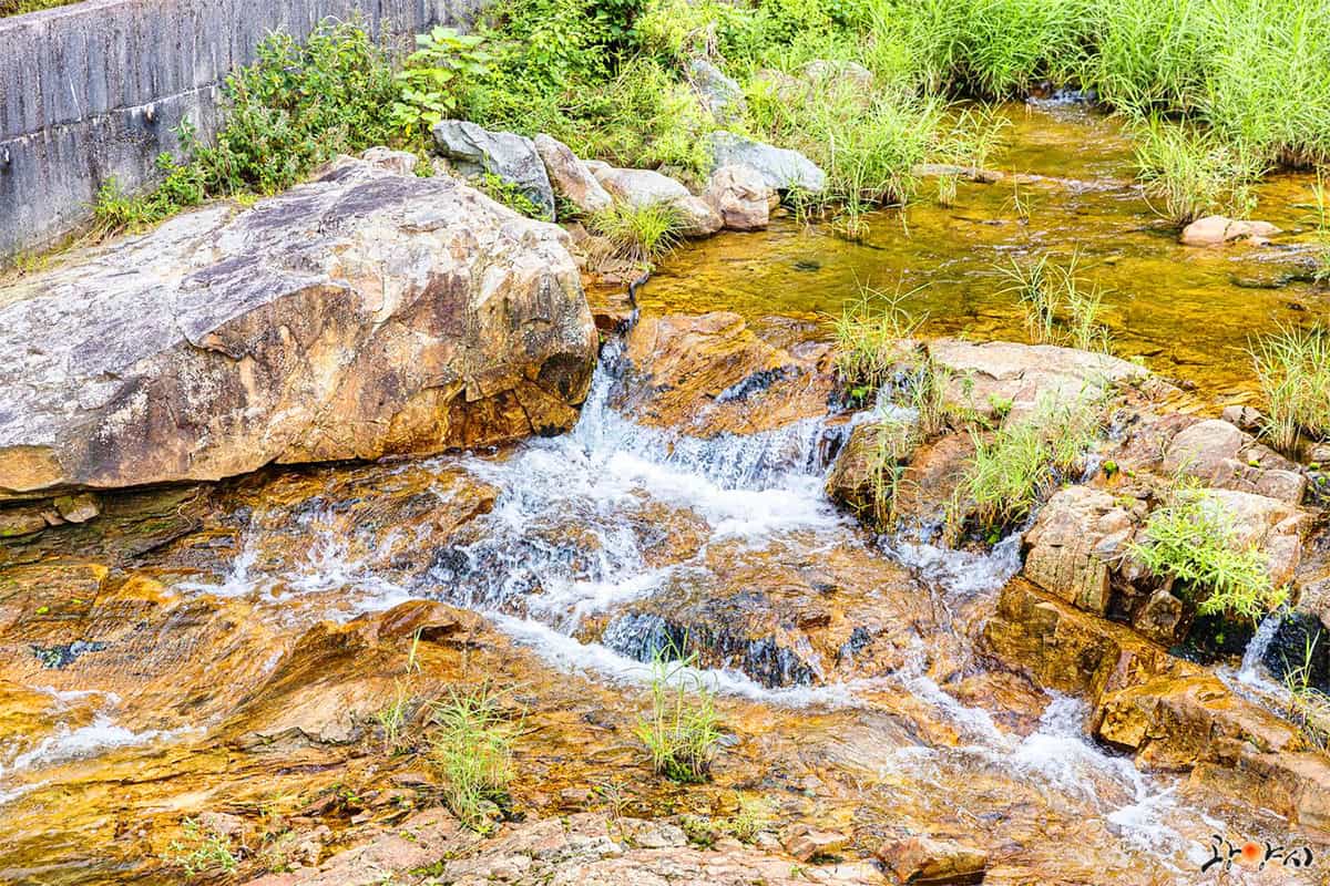 성불계곡 성불계곡
