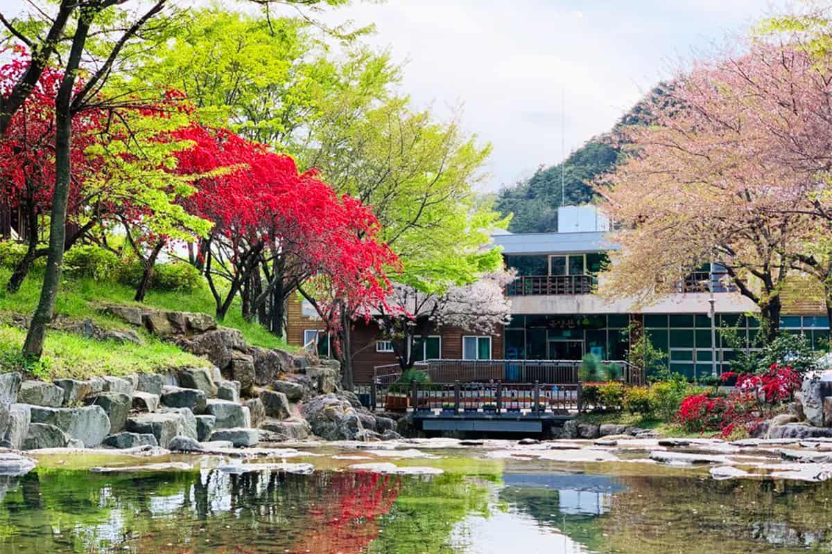 해남 흑석산자연휴양림 전경 해남 흑석산자연휴양림 전경