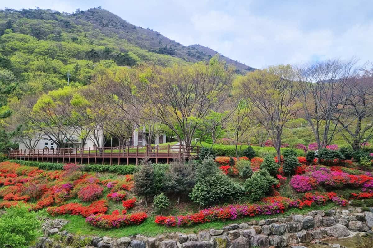 해남 흑석산자연휴양림 해남 흑석산자연휴양림