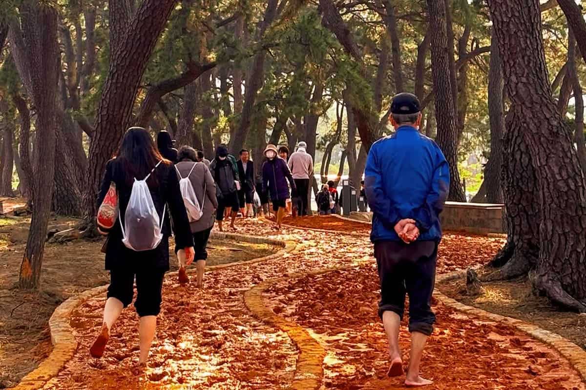 해운대 바다 황톳길 해운대 바다 황톳길