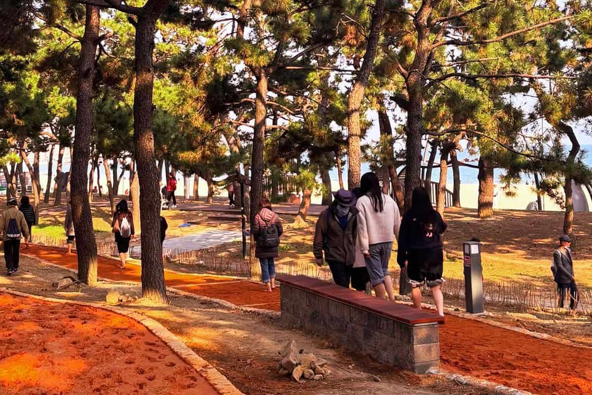 송림공원 송림공원