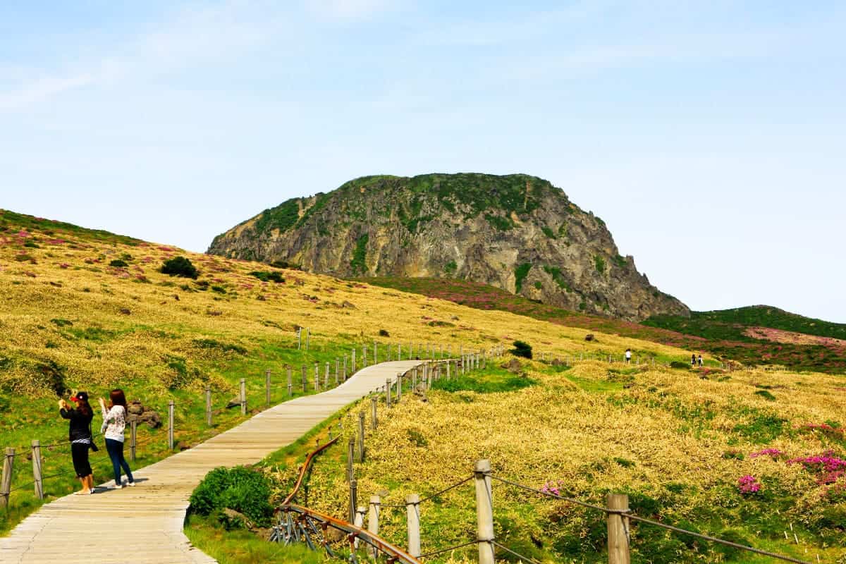 제주 한라산 등산