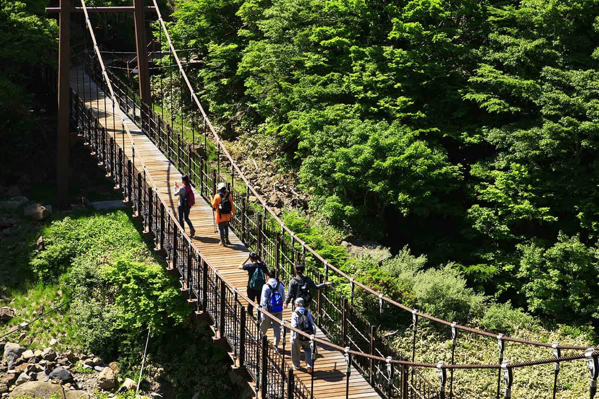 제주 한라산 풍경