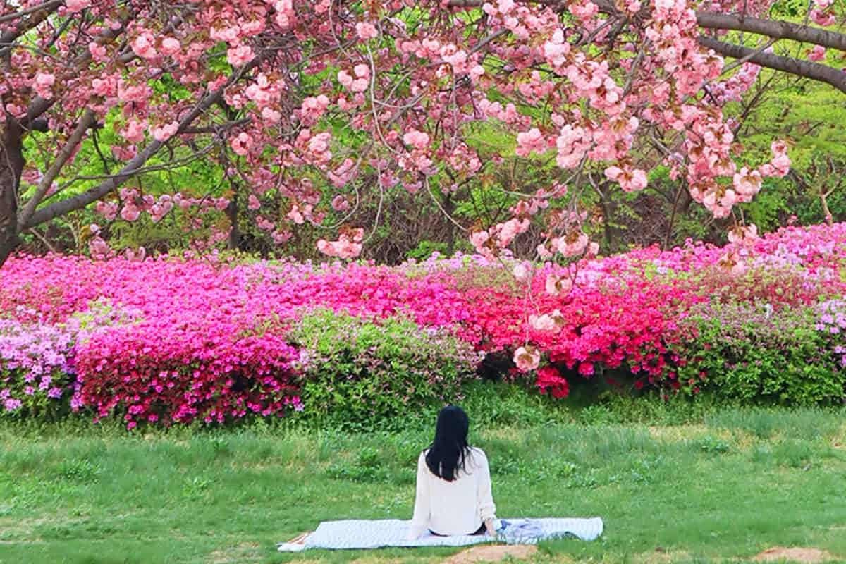 미사경정공원 피크닉 미사경정공원 피크닉