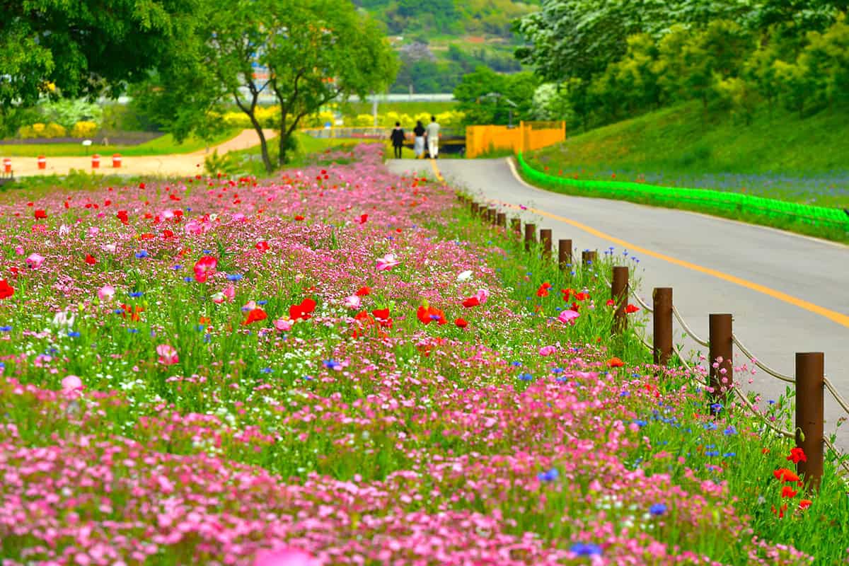 황룡강 길동무 축제 황룡강 길동무 축제