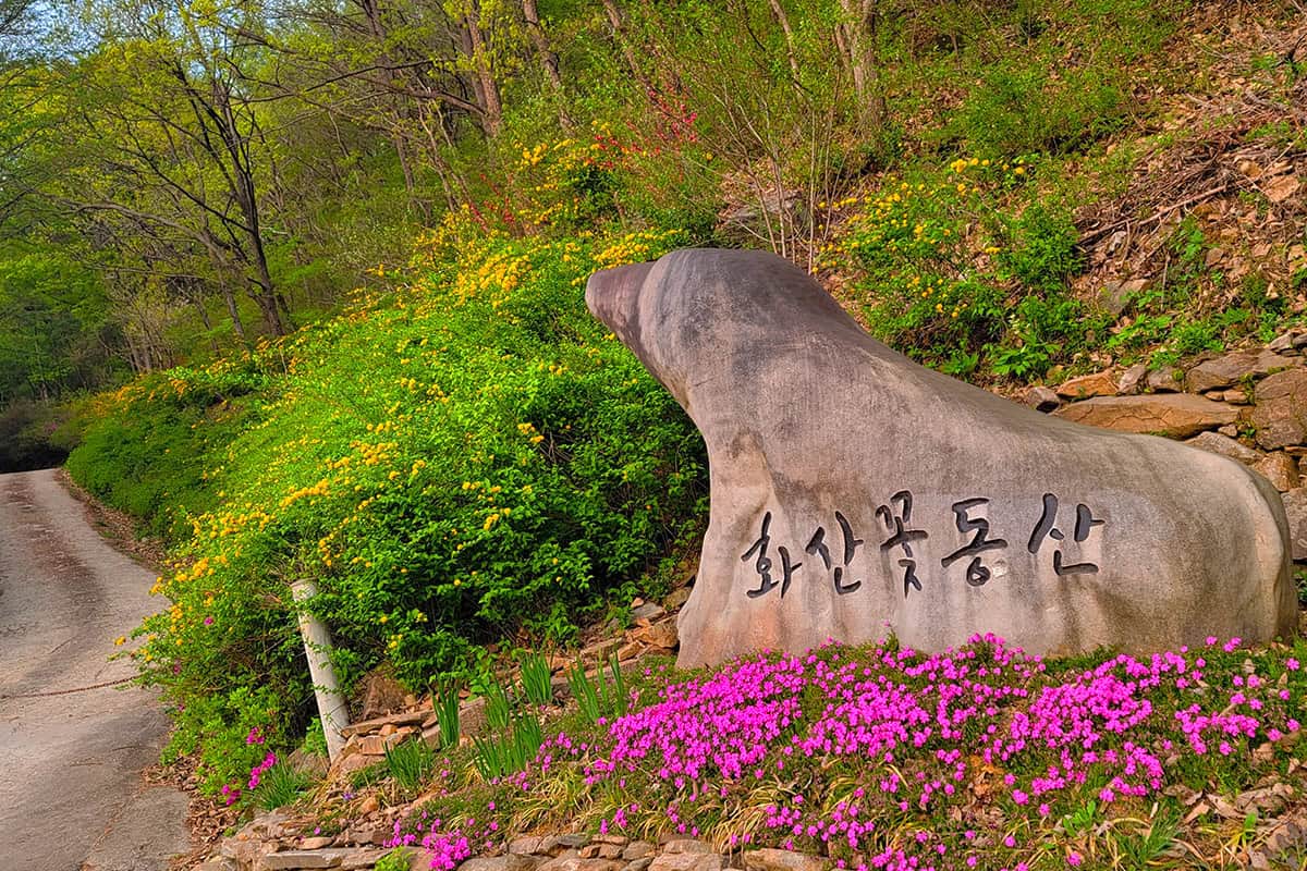 완주 화산꽃동산 산책로 완주 화산꽃동산 산책로
