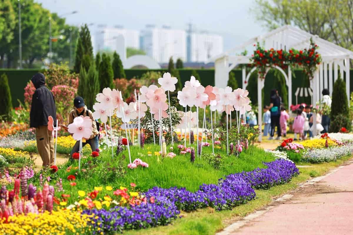 화순 봄꽃 축제