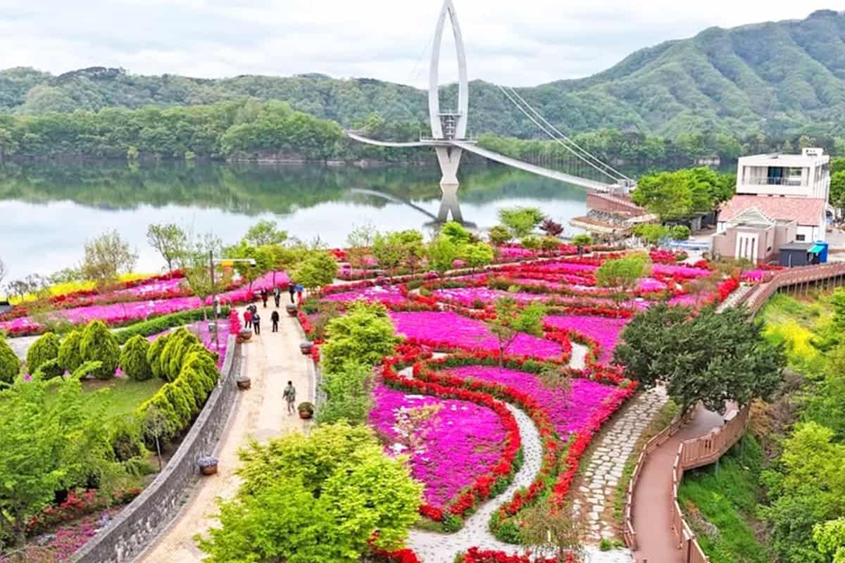 임실 붕어섬 출렁다리와 봄꽃 임실 붕어섬 출렁다리와 봄꽃