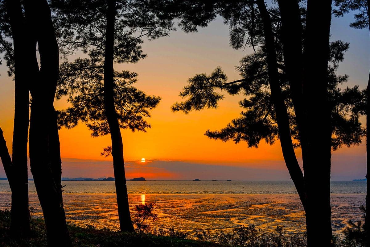 장항송림산림욕장 노을