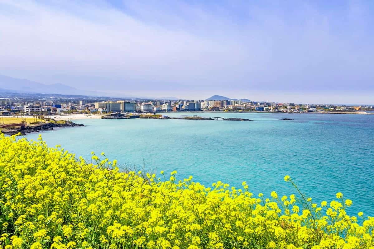 제주 함덕 서우봉 해변 봄