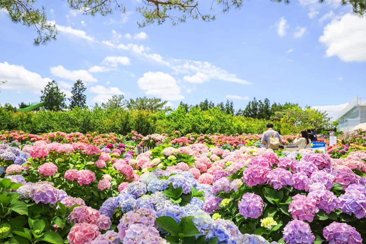제주 휴애리 자연생활공원 제주 휴애리 자연생활공원