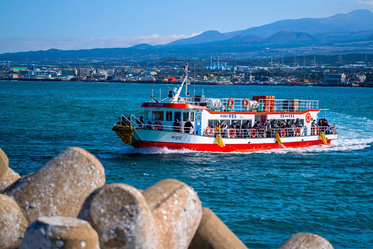 비양도 배 비양도 배