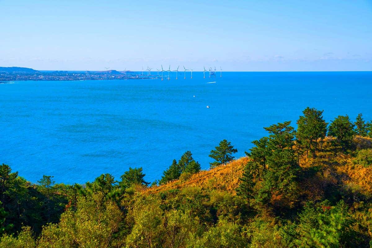 비양도 전경 비양도 전경