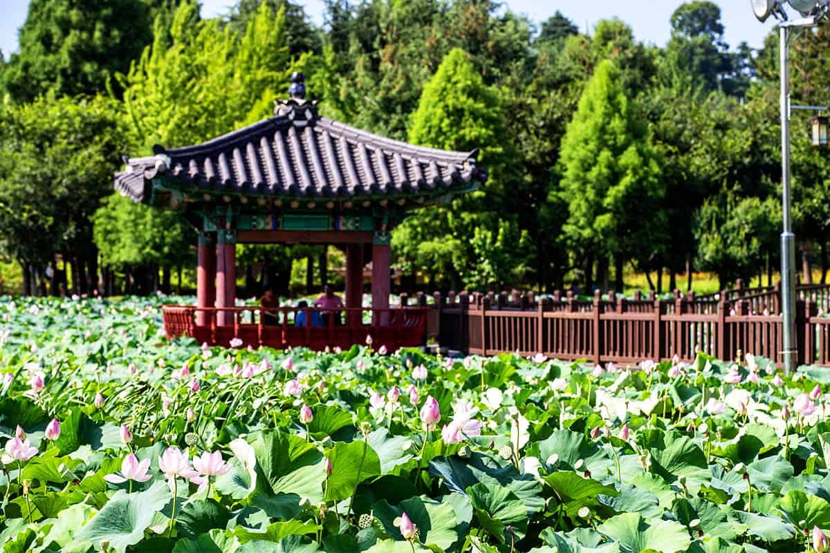 전주 덕진공원 전주 덕진공원