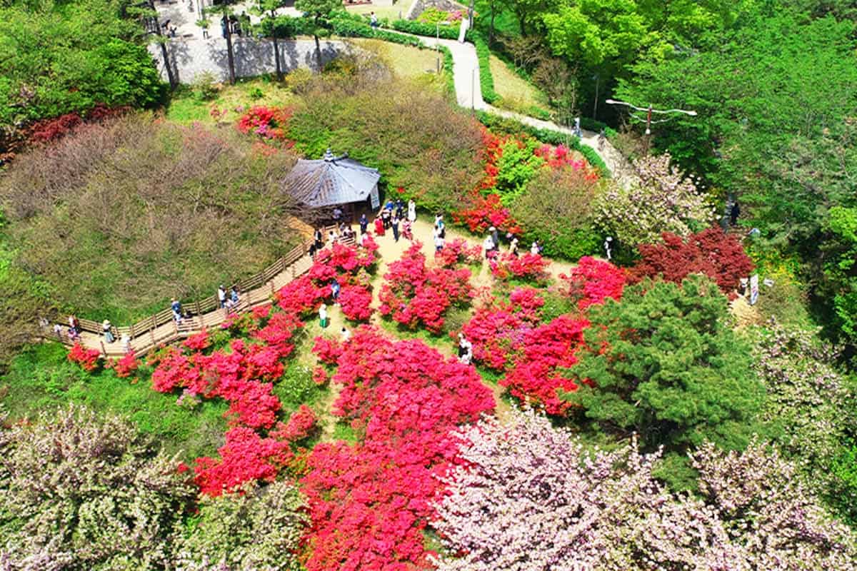 전주 완산칠봉 꽃동산 전주 완산칠봉 꽃동산