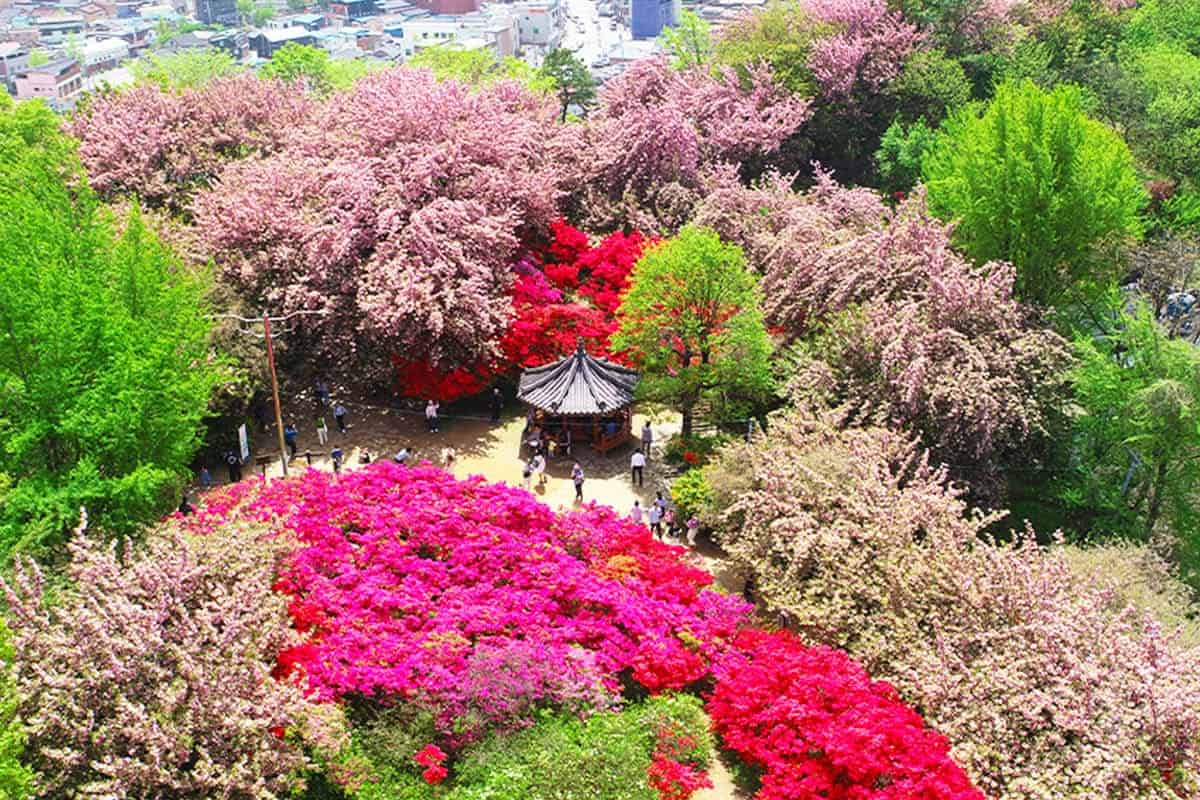 전주 완산칠봉 꽃동산 전경 전주 완산칠봉 꽃동산 전경