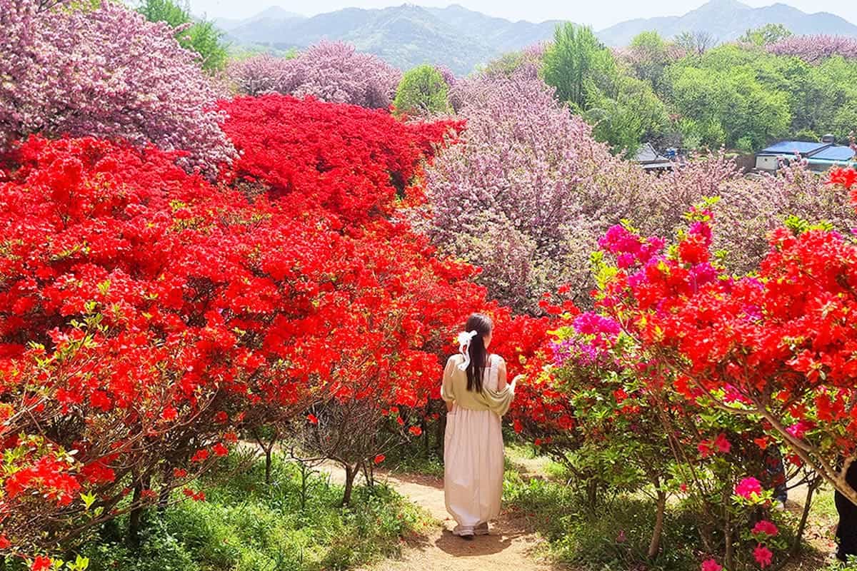 전주 완산칠봉 꽃동산 포토존 전주 완산칠봉 꽃동산 포토존