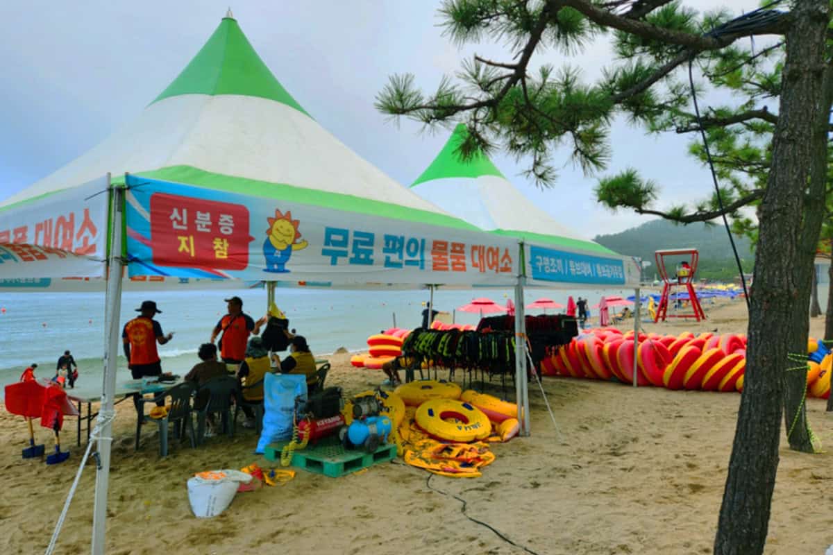 무료 대여소 무료 대여소
