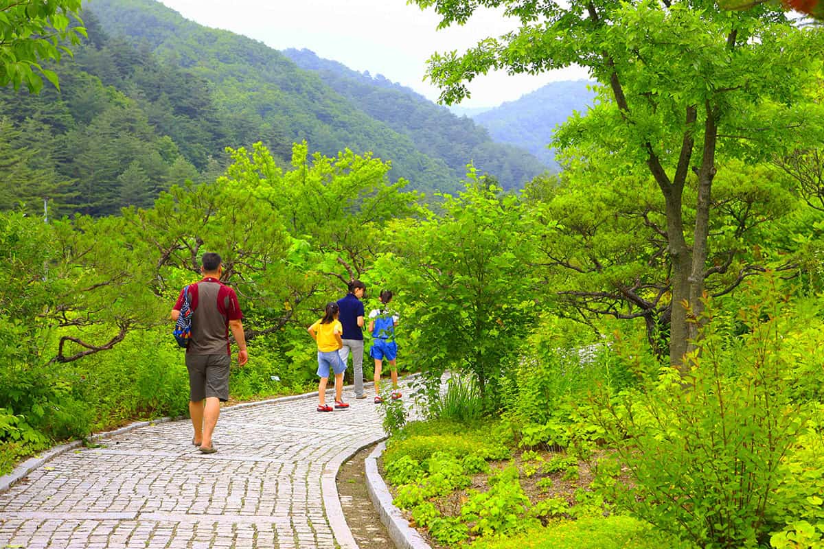 한국자생식물원 산책로